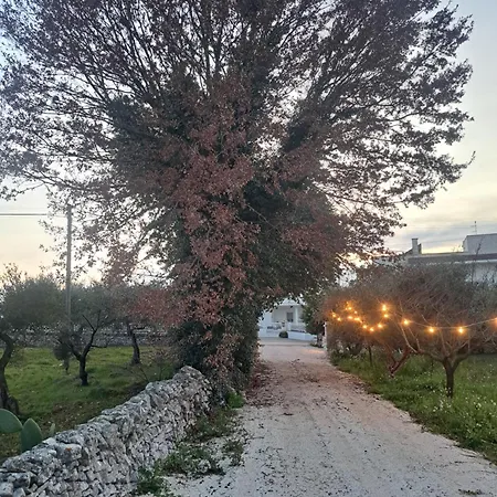 Viale Del Sole - Il Trullo