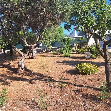 Guest house Viale Del Sole - Il Trullo 3*
