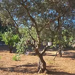 Viale Del Sole - Il Trullo Vendégház Locorotondo