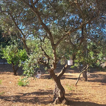 Viale Del Sole - Il Trullo Pensión Locorotondo