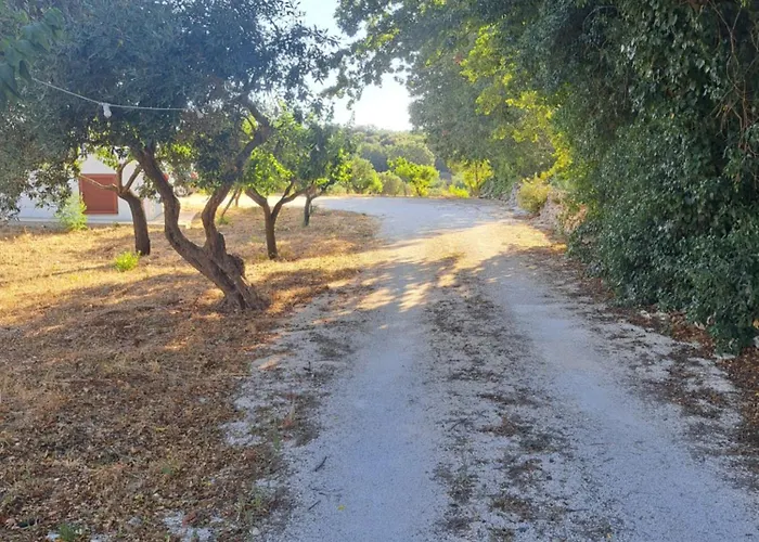 ゲストハウス Viale Del Sole - Il Trullo ロコロトンド